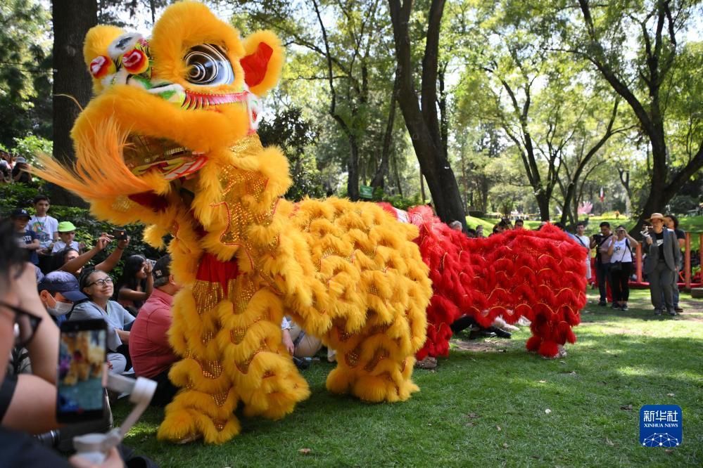 蓝洞官方网站